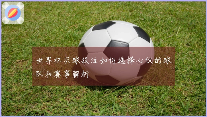 世界杯买球投注如何选择心仪的球队和赛事解析