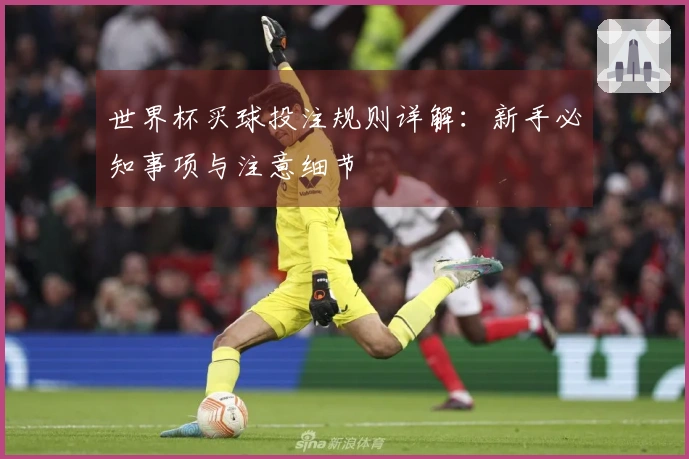 世界杯买球投注规则详解:新手必知事项与注意细节