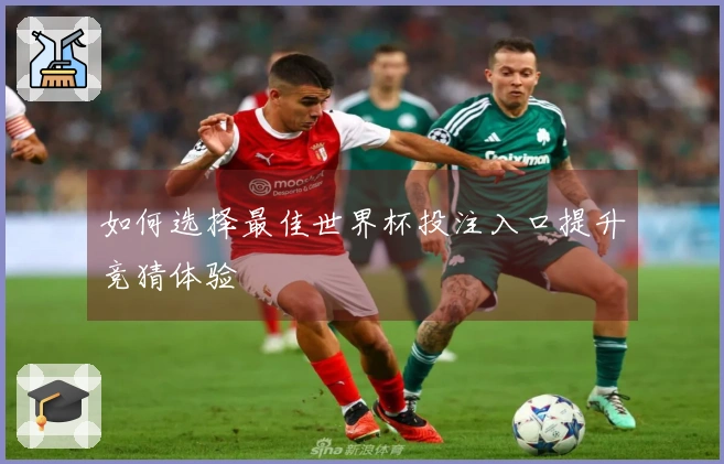 如何选择最佳世界杯投注入口提升竞猜体验
