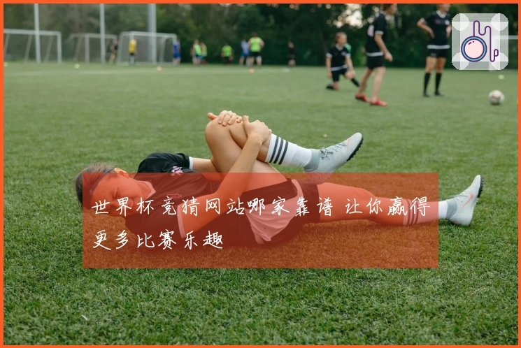 世界杯竞猜网站哪家靠谱 让你赢得更多比赛乐趣