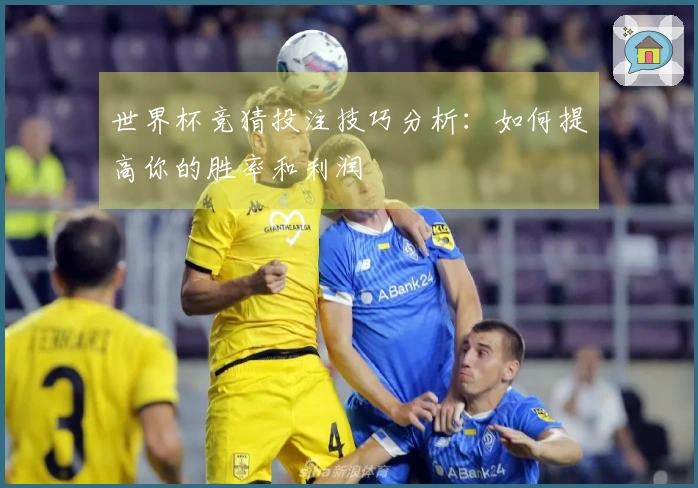 世界杯竞猜投注技巧分析：如何提高你的胜率和利润