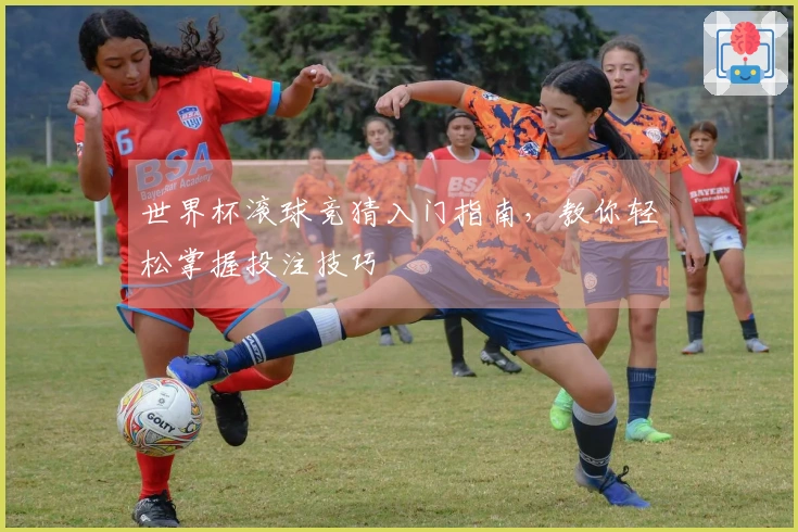 世界杯滚球竞猜入门指南，教你轻松掌握投注技巧