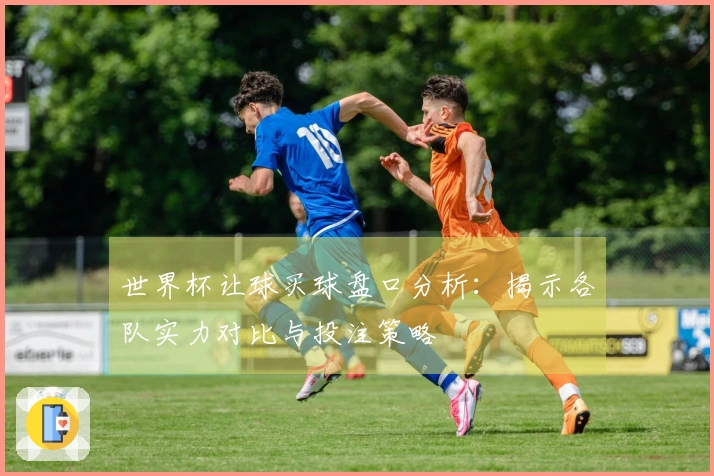 世界杯让球买球盘口分析：揭示各队实力对比与投注策略