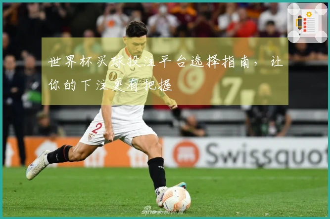 世界杯买球投注平台选择指南，让你的下注更有把握