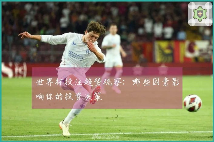 世界杯投注趋势观察：哪些因素影响你的投资决策