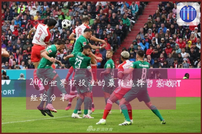 2026世界杯投注的最佳选择与实战经验分享