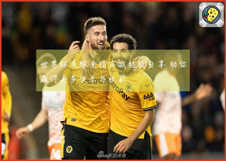 世界杯滚球竞猜实战经验分享 助你赢得更多快乐与收获