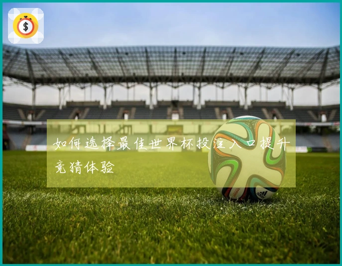 如何选择最佳世界杯投注入口提升竞猜体验
