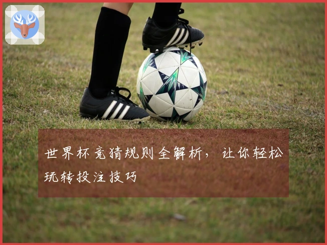 世界杯竞猜规则全解析，让你轻松玩转投注技巧